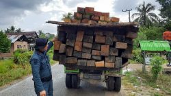 kasus pengangkutan kayu ilegal