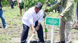 Seskab Pramono Anung Dampingi Presiden Jokowi Tanam Pohon Mangga di Blora