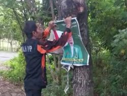 Banyak APK Dipaku di Pohon, Ketua BLH MPC PP Parepare Murka